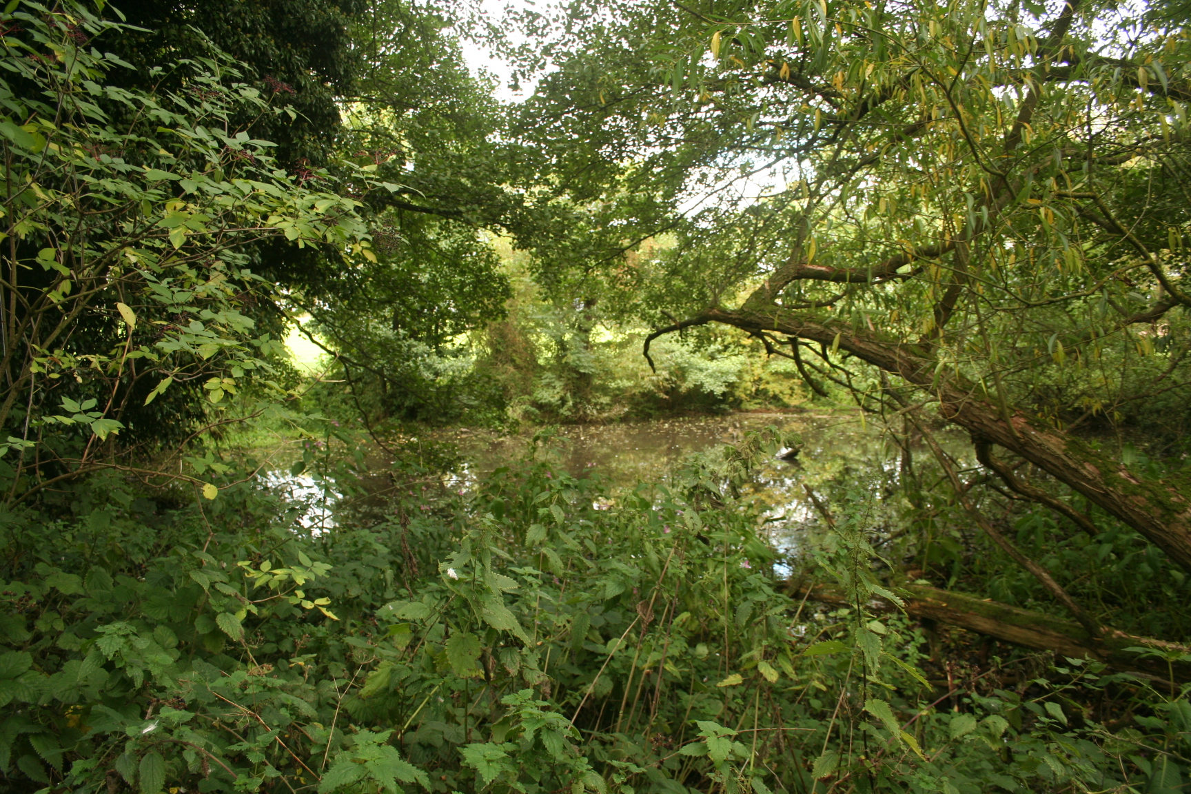 Hawkes Mill Pool